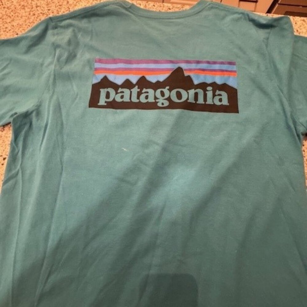 Mens Patagonia Shirt